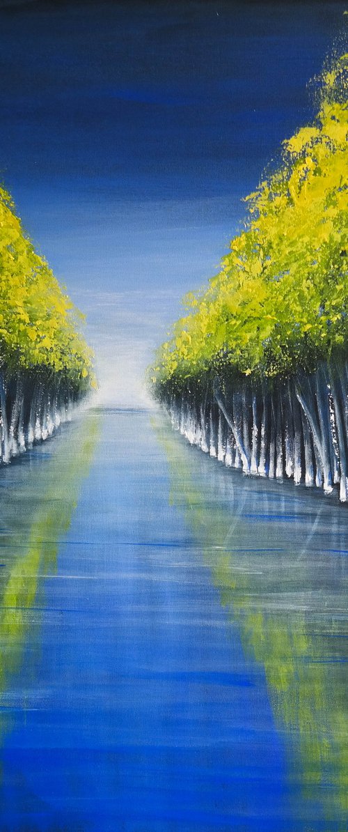 Misty morning  - Water and Trees  Series by Danijela Dan