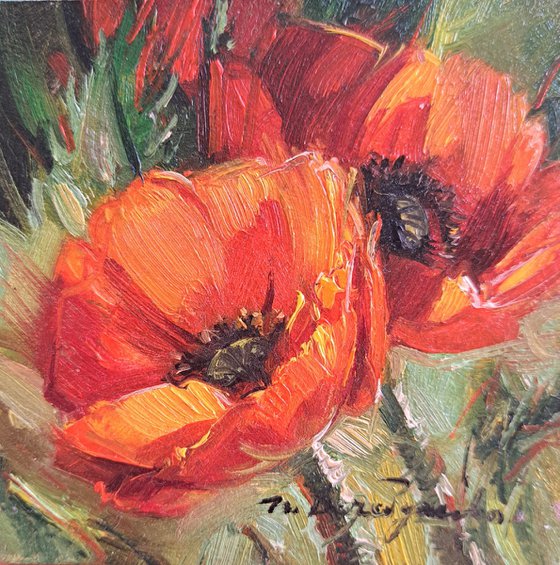 Poppy painting original