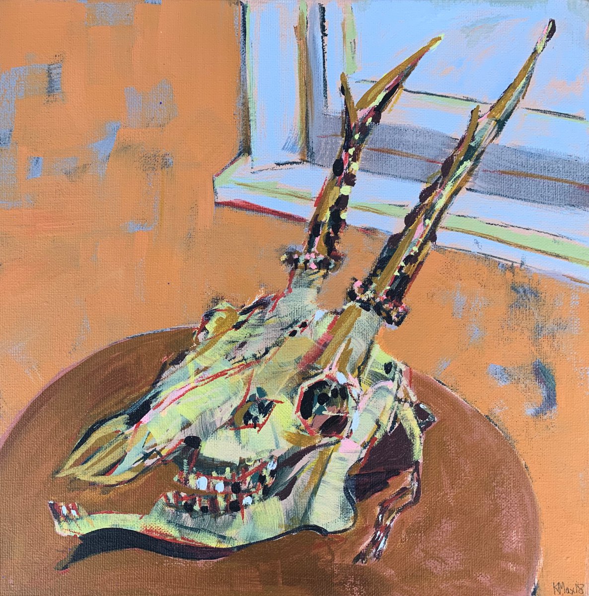  - Little Antelope Skull in Front of a Window - � by Hanna Bell