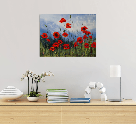 Red flowers , poppies