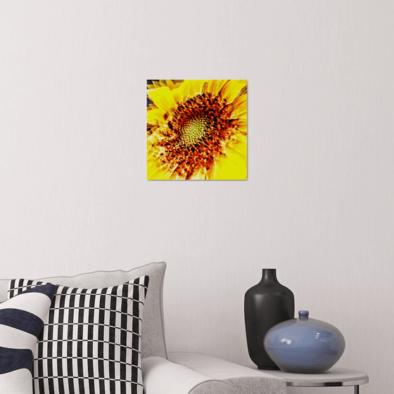 Abstract Sunflower. Limited Edition Abstract Photograph Print  #2/50. Closeup of a sunflower abstraction.