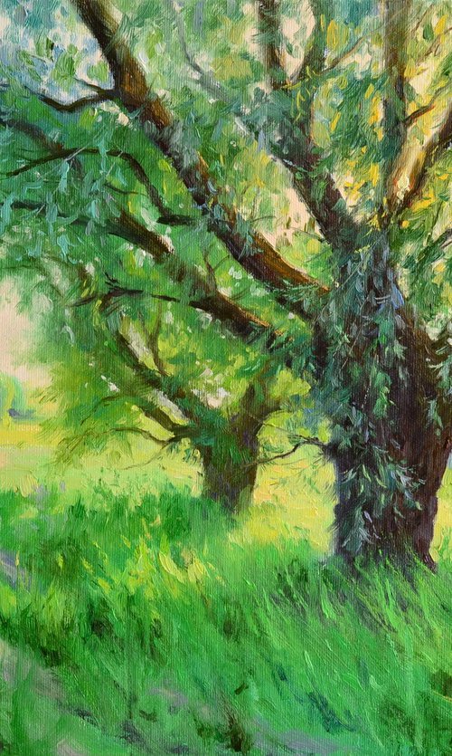 Old willows by Ruslan Kiprych