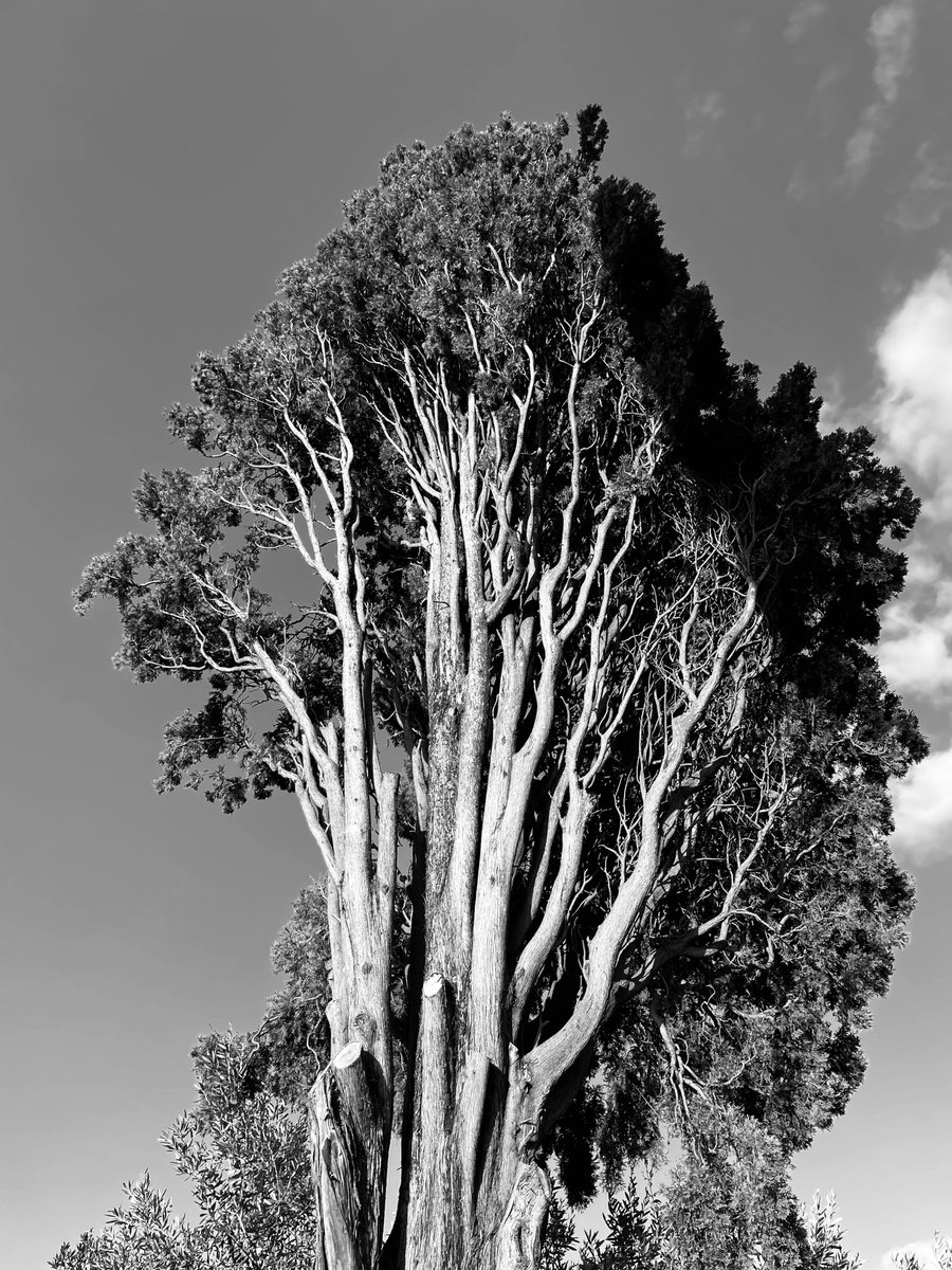 Photorealistic Landscape Photograph By Mattia Paoli, 44 X 59", Nt#185 Legendary Three #4, Original Artwork