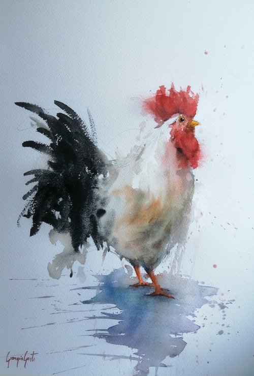 rooster 22 by Giorgio Gosti