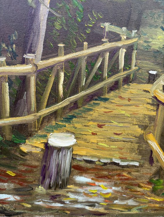 Autumn in Dutch forest