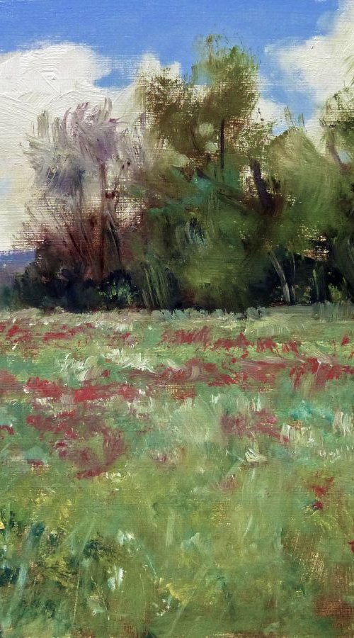 Field in Provence by Pascal Giroud