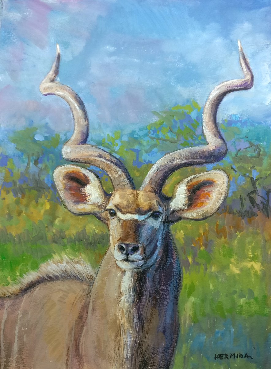 Greater Kudu by Gabriel Hermida