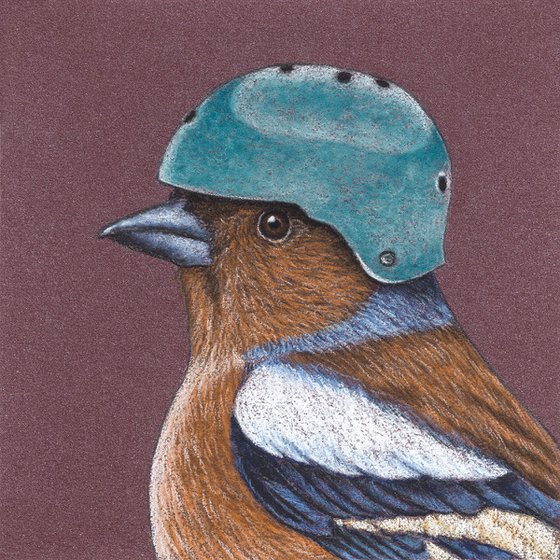 Original pastel drawing bird "Common chaffinch"