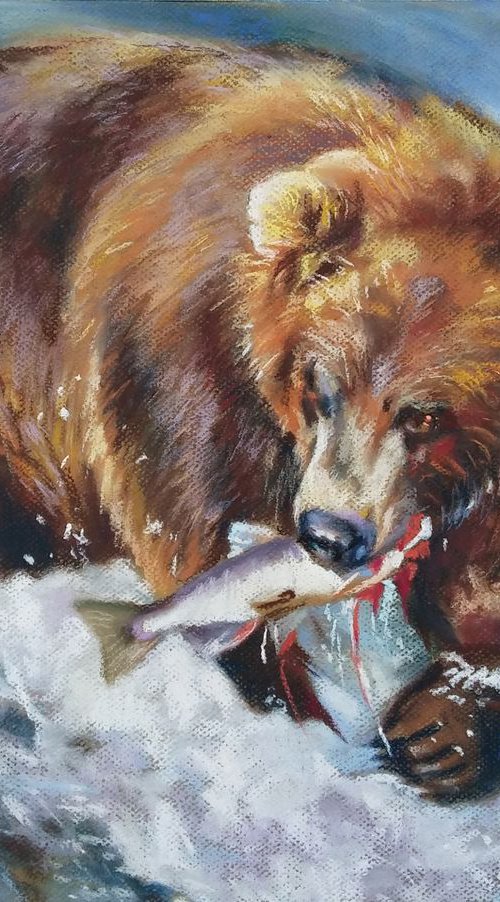 Grizzly bear by Magdalena Palega