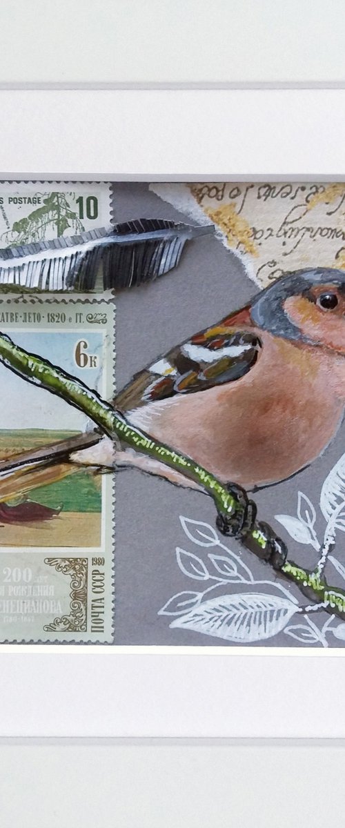 The chaffinch feather  (framed and ready to hang) by Carolynne Coulson