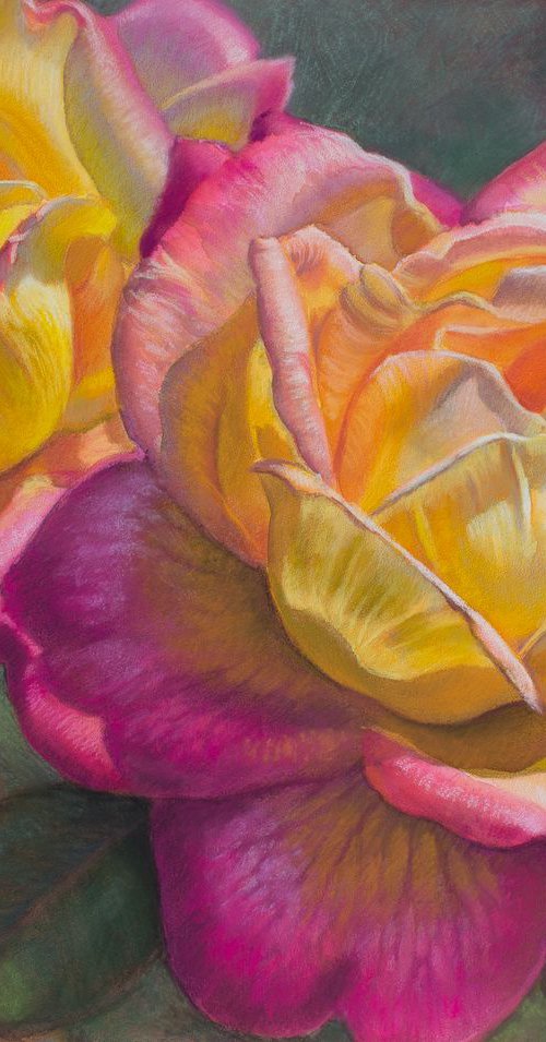 Love and Peace Roses, 1 by Fiona Craig