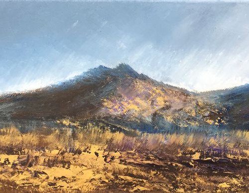 Golden Walks on Dartmoor by Laure Bury