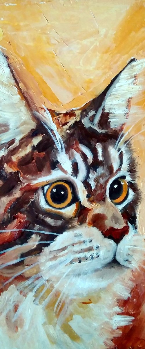 Maine Coon Portrait Cat Oil Painting Original Art Pet Wall Art by Yulia Berseneva