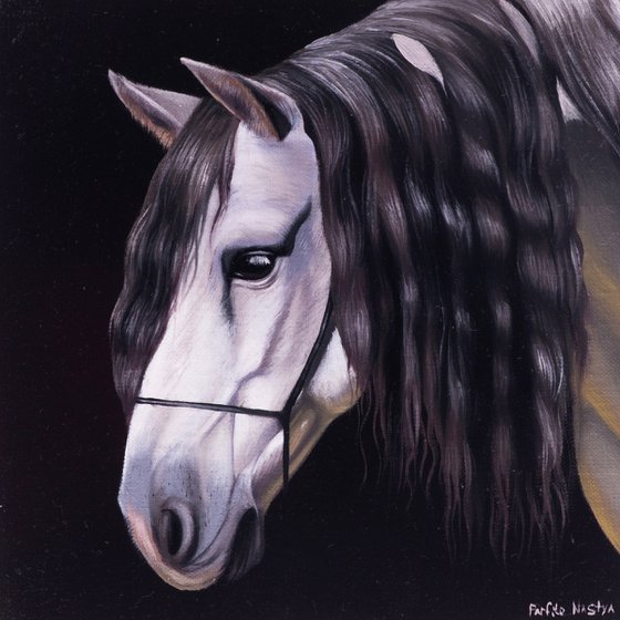 Horse Portrait 108