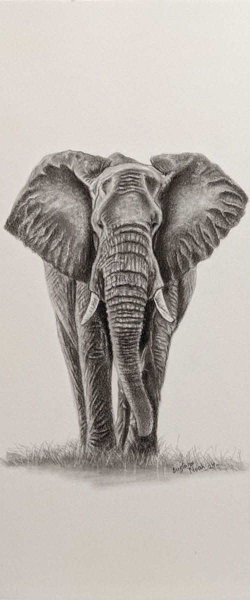 ELEPHANT by BUGINGO Noah