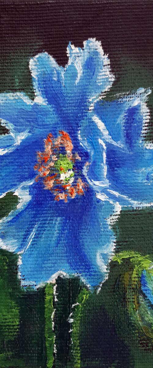 Blue Poppy / FROM MY A SERIES OF MINI WORKS / ORIGINAL OIL PAINTING by Salana Art Gallery