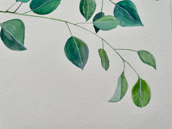 Eucalyptus Original Painting, Botanical Watercolor Artwork, Green Leaves Wall Art, Plant Illustration