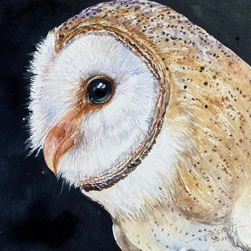 Golden Boy_ Barn Owl by Arti Chauhan