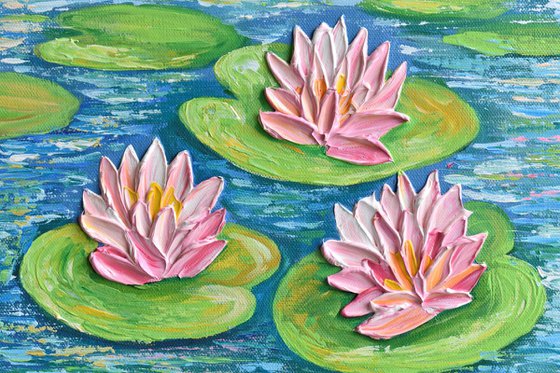 Pink Water Lilies Pond