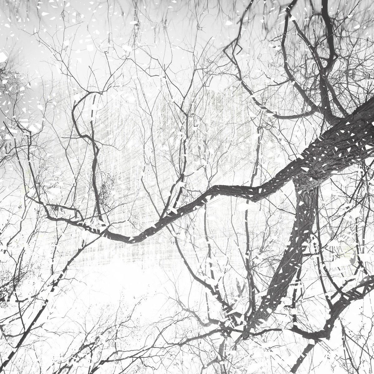 Branches of Time by Connected Thoughts