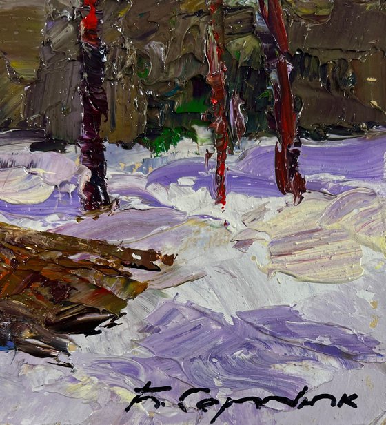 Winter Road through Quiet Forests