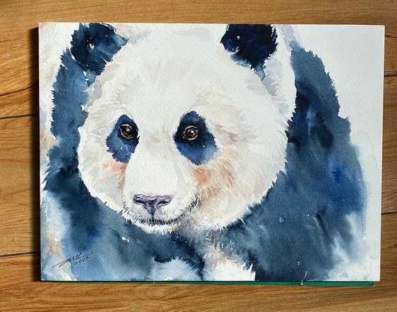Panda Perry