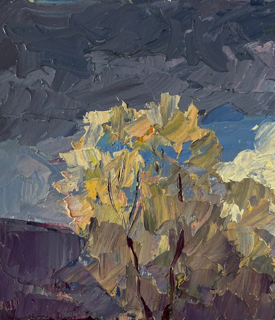 The First Rays of Warm