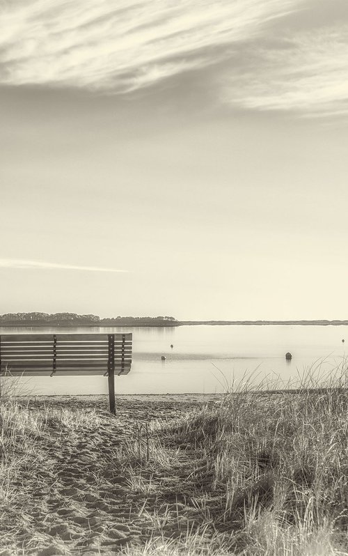 Bench, Harwich, MA - 18 x 12" by Brooke T Ryan