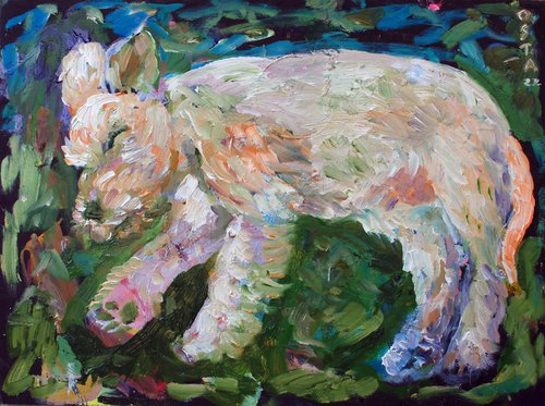 Sleeping Puppy by Andrew Osta