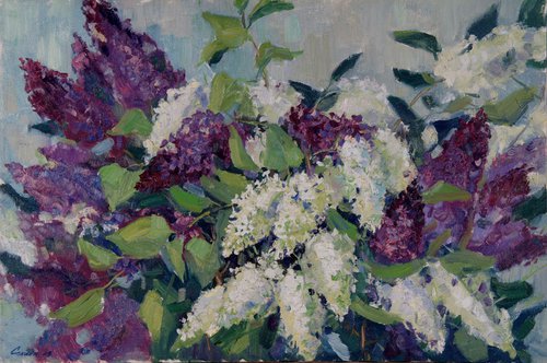 Lilac dreams by Elena Sanina