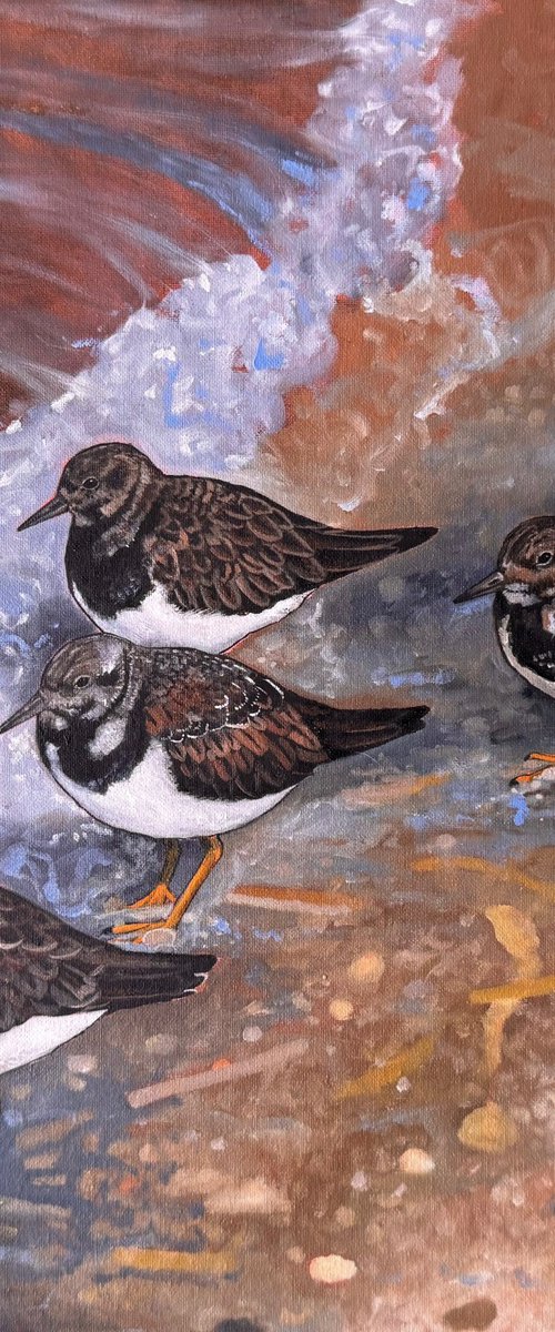 Shoreline Turnstones by Jem Gooding