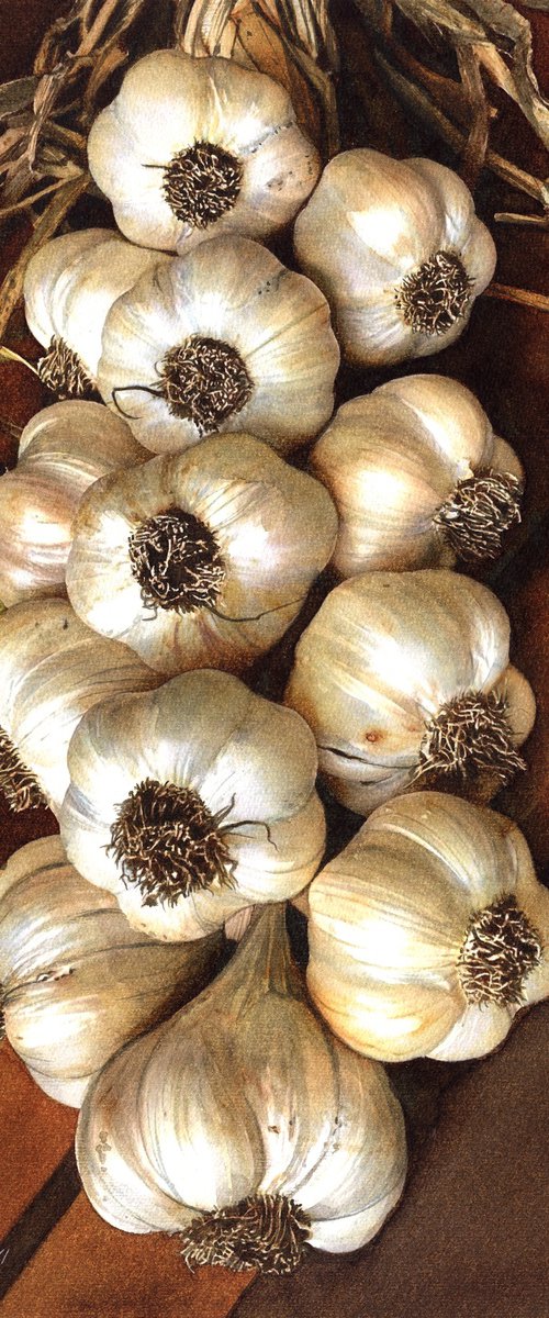 Old BG Garlic by REME Jr.