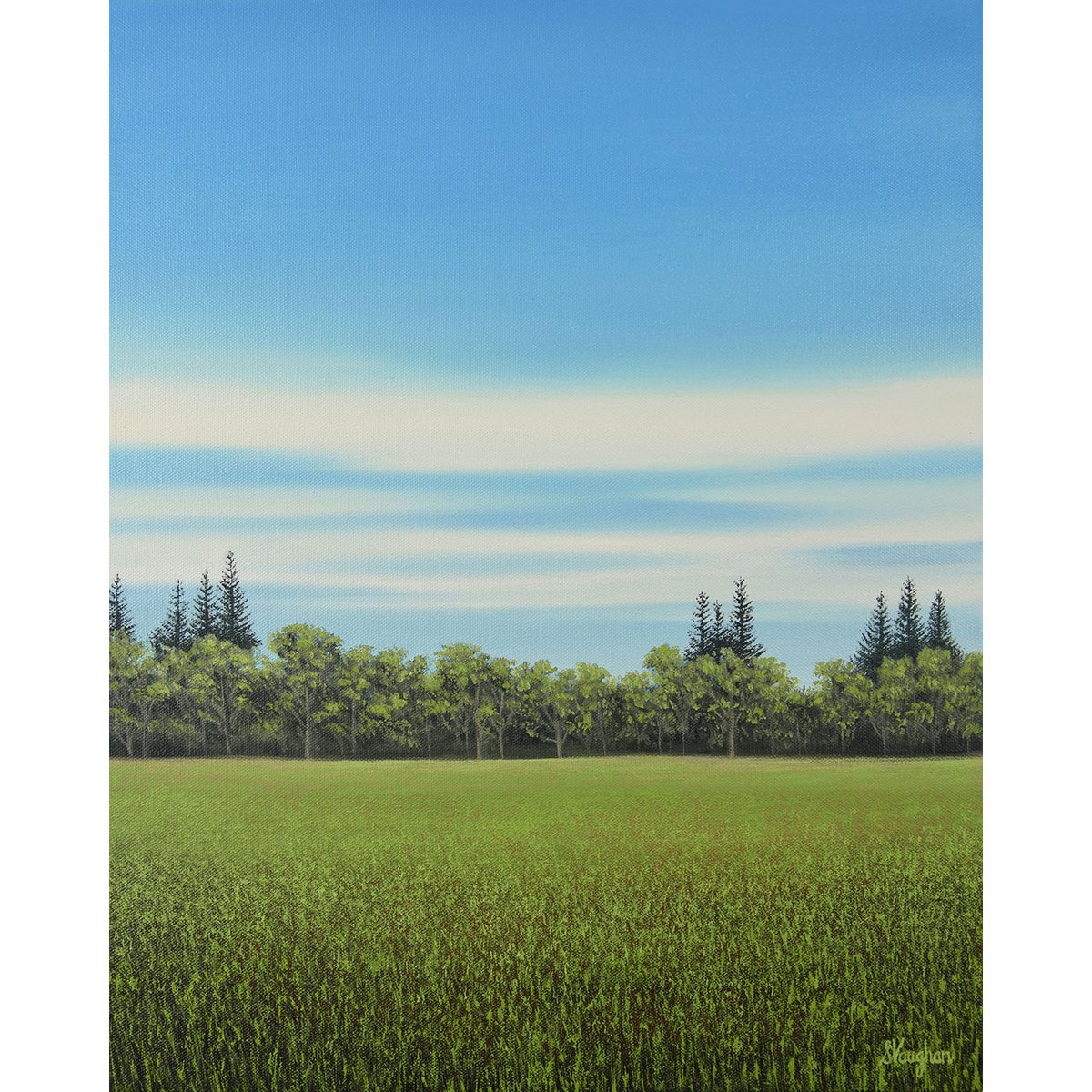 Impressionistic Landscape Oil Painting By Suzanne Vaughan, 16 X 20", Meadow Grass - Blue Sky, Original Artwork