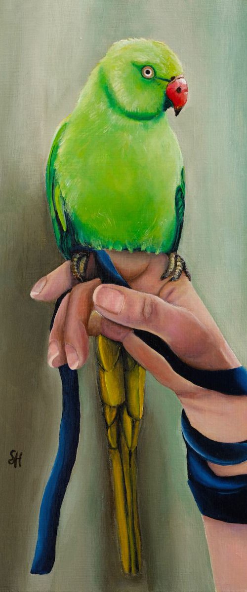 The Bird by Saskia Huitema