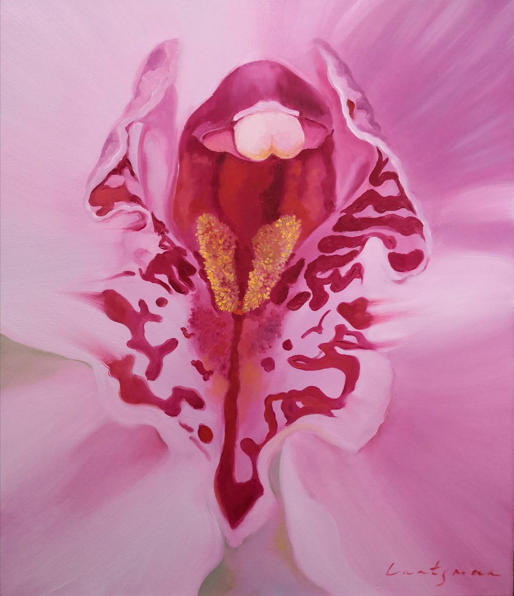 Orchid - a flower of femininity and passion, number 2 by Jane Lantsman