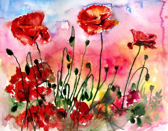 Poppies at sunset