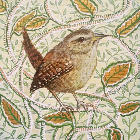 A Wren named Morris