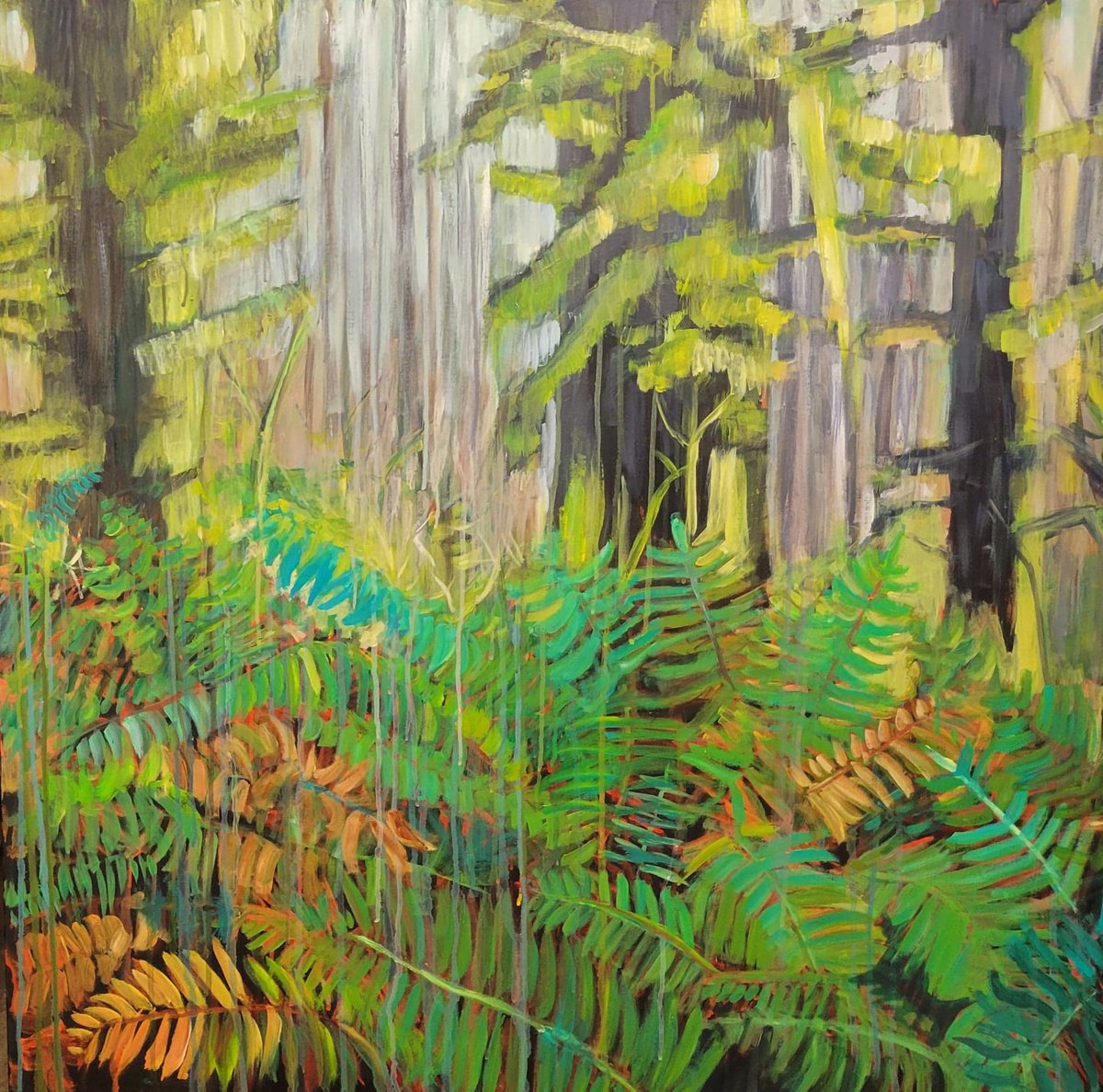 Light into the fern forest by Leah Kohlenberg Fine Art