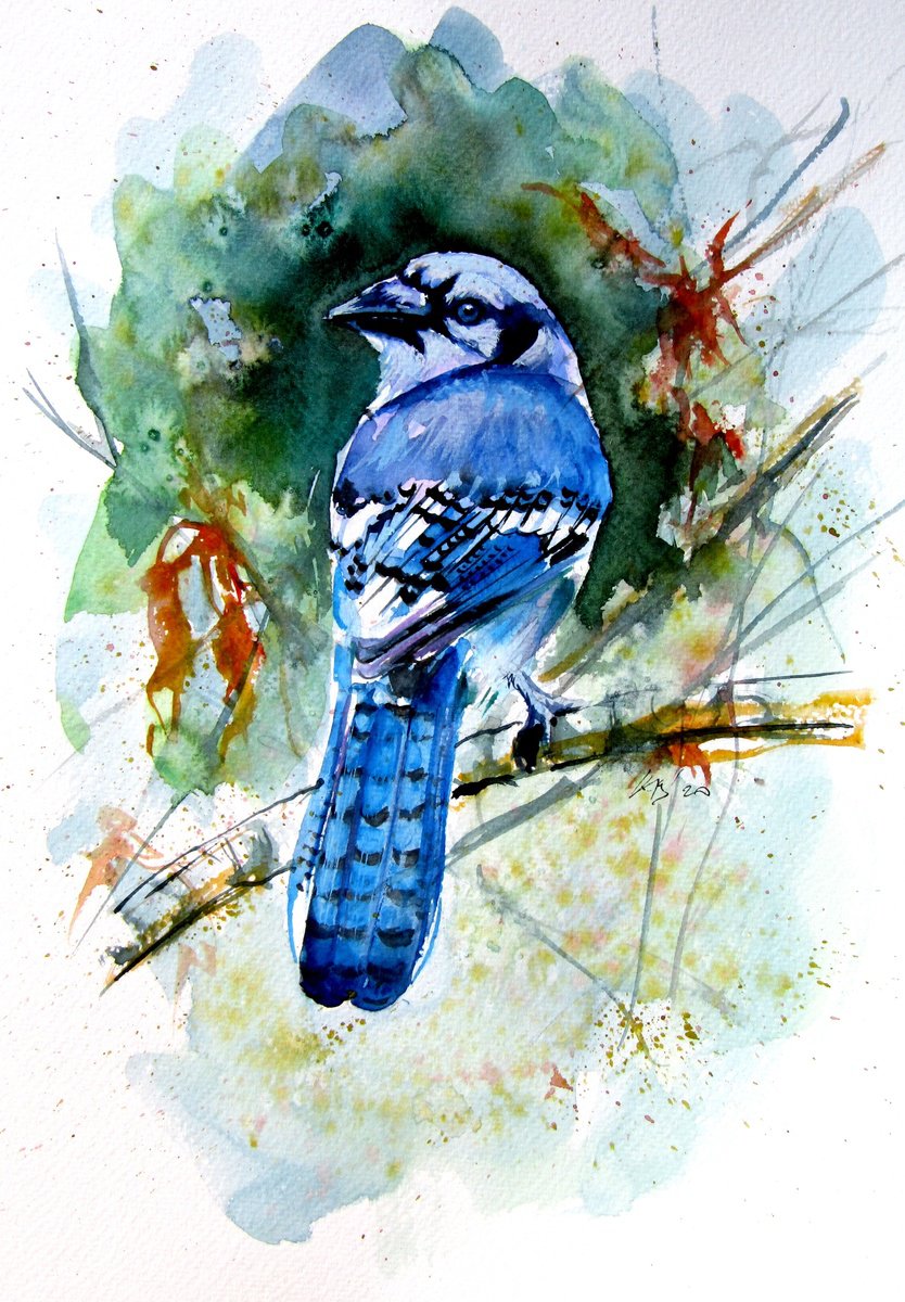 Impressionistic Animal Watercolour By Kovacs Anna Brigitta, 10 X 14", Blue Jay Ii, Original Artwork