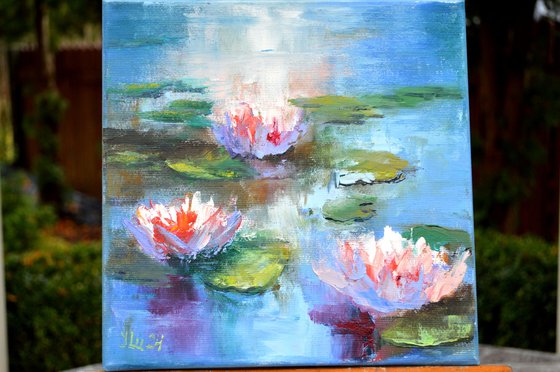 Sunny water lilies