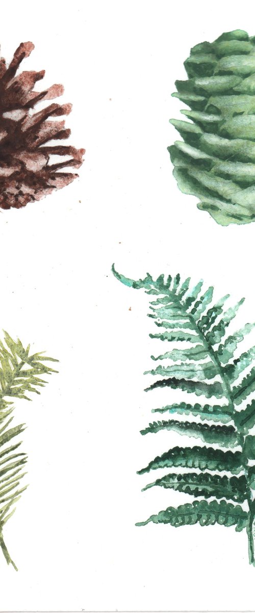 Watercolour Forest Flora - Original Pinecones and Ferns by Alison Fennell