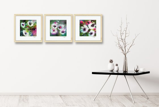 Floral Dream Collection 1 - 3 Framed Paintings