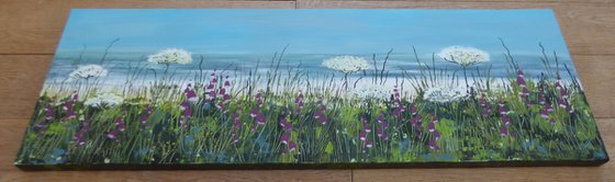 Cornish Coast Meadow