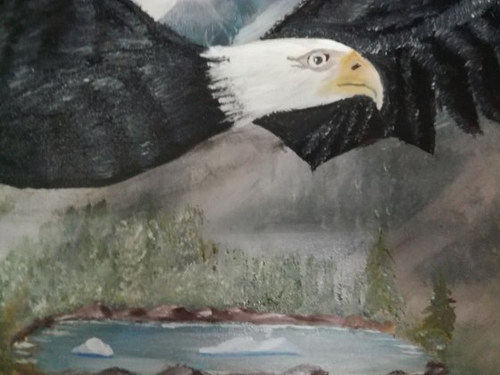 Oil Painting, Gift idea,  Original, wall  Art On Canvas, The eagle with man's eyes