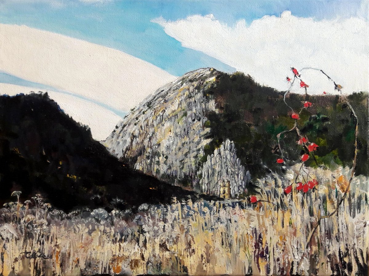 Impressionistic Landscape Oil Painting By Chris Walker, 16 X 12, Exeat - Defile De Mirabeau, Original Artwork