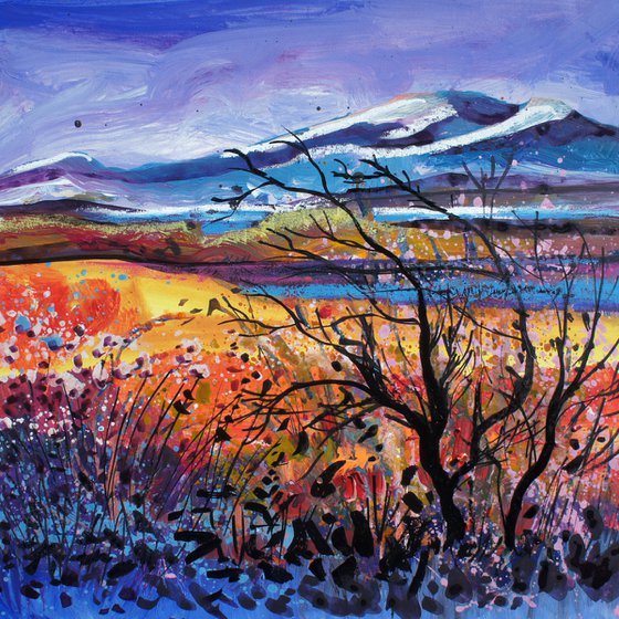 Winters Glow in the Highlands of Scotland