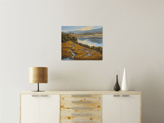 Tomales Bay Salt Marshes landscape