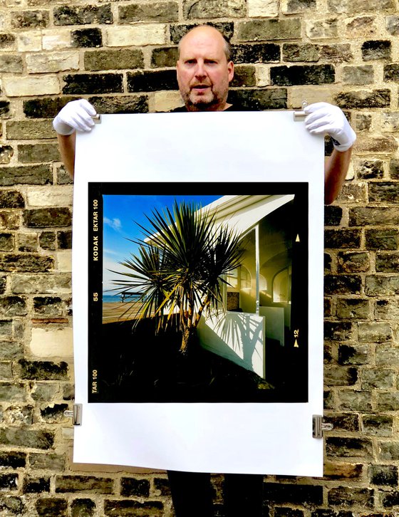 Palms, St Leonards-on-Sea