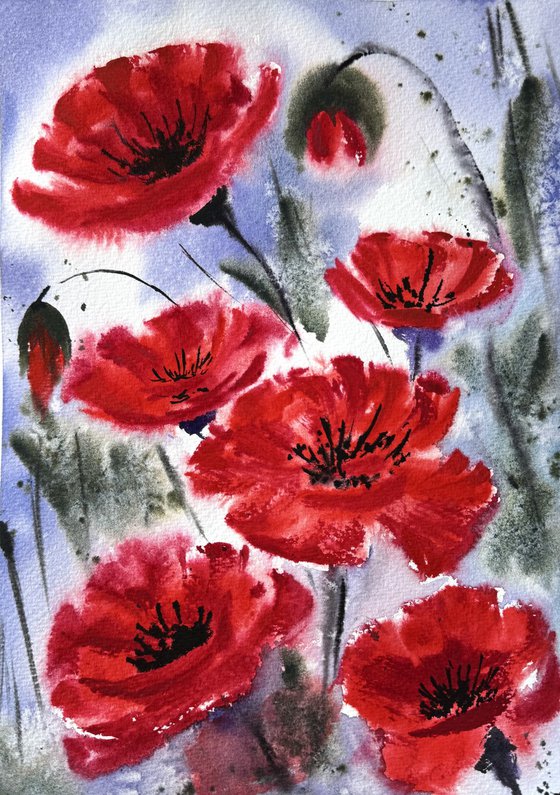 Red Poppies in the field