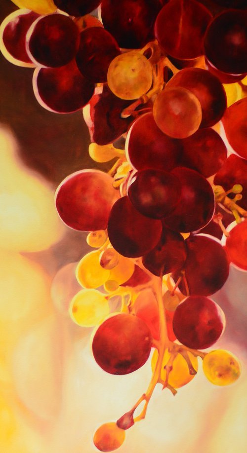 Mediterranean grapes 2. by Cene gal Istvan